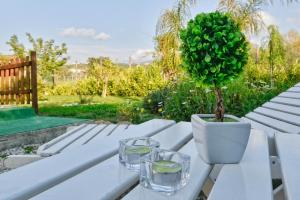 Zahrada ubytování Casa vacanze Il Salice