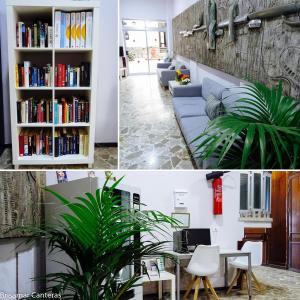 The library in Az apartmant