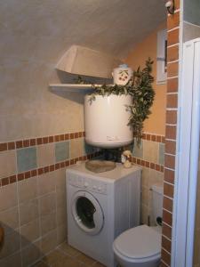 a washing machine in a bathroom with a toilet at Gite l'Etape in Vallon-Pont-dʼArc +41 photos