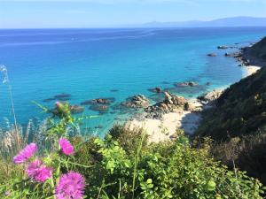 a view of a beach and the ocean with pink flowers at Beverley Apartment - FAMILY Residence in Briatico