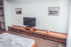 TV a/nebo společenská místnost v ubytování Casa Pescarilor