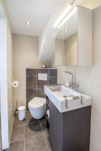 a bathroom with a sink and a toilet at B&B Aan het Park Eindhoven in Eindhoven