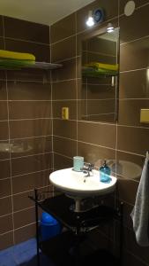 Koupelna v ubytování Apartmán u Kočky