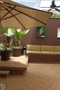 Billede fra billedgalleriet på Mansion Havre i Mexico City + 19 billeder