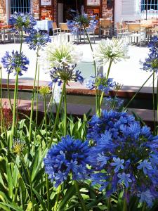 Gallery image of Hostal Rey in Santa Eularia des Riu