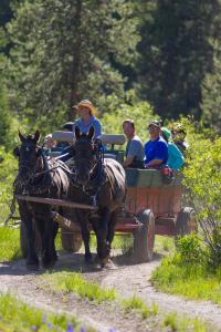 a group of people riding on a horse drawn carriage at Colter Bay Village in Colter Bay Village