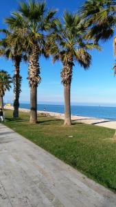 eine Reihe von Palmen in einem Park neben dem Strand in der Unterkunft La Casa di Diana in Porto SantʼElpidio