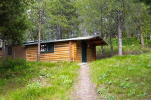 a log cabin in the woods with a dirt road in front at Colter Bay Village in Colter Bay Village