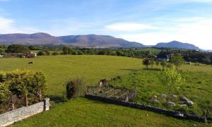 a large green field with sheep in it with mountains at DunnCourt House in Killarney