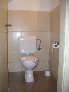 a bathroom with a toilet and a roll of toilet paper at Apartman Belići in Kastav