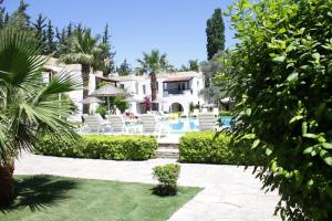 a house with a swimming pool and chairs and trees at Toloman Hotel Bitez Beach in Bitez