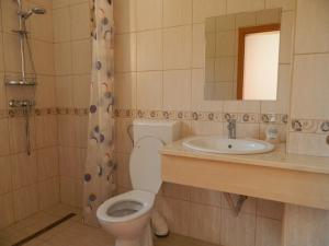 La salle de bains est pourvue de toilettes et d'un lavabo. dans l'établissement Vila Izvor, à Băile Felix