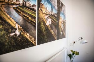 Fotografie z fotogalerie ubytování Mi&Ti Bed&Breakfast v destinaci Vicenza