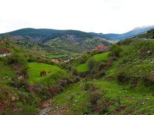 Príroda v okolí hotela