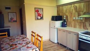 Kuchyň nebo kuchyňský kout v ubytování Guesthouse Nigovanka
