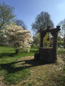 Zahrada ubytování Hotel Bezold