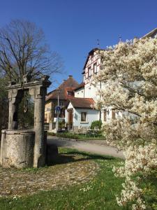 Zahrada ubytování Hotel Bezold