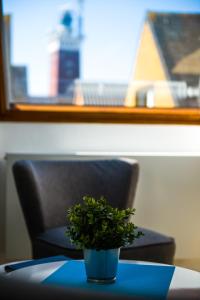 a potted plant sitting on a table with a chair at Haus Sabina in Helgoland