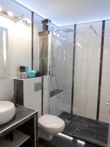 カンヌにあるSuquet's Luxury Studioのバスルーム(トイレ、ガラス張りのシャワー付)