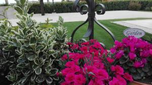 Zahrada ubytování B&B Borgo Arcadia