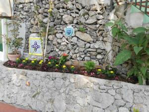 a stone wall with flowers in a garden at Casa Vacanze Bouganvillea in Cetara