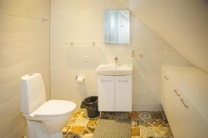 a bathroom with a toilet and a sink and a mirror at Ventspils Rātslaukuma apartamenti in Ventspils +30 photos