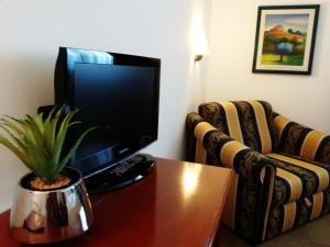 een woonkamer met een televisie en een tafel met een plant bij Hotel Medea - Adults Only in Alba