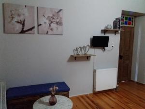 TV a/nebo společenská místnost v ubytování Lichovo