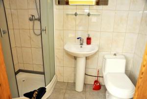 a bathroom with a sink and a toilet and a shower at Pakrantė in Klaipėda +19 photos