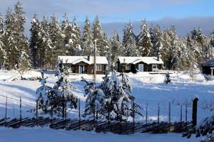 Nymon Mountain Lodge v zimě