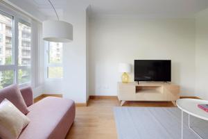 ein Wohnzimmer mit Sofa und Fernseher in der Unterkunft Playa de Ondarreta 2 by FeelFree Rentals in San Sebastián