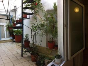 a room filled with lots of potted plants at Hotel Acropolis in Kavála