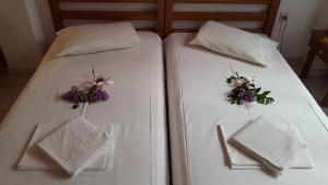 Gallery image of Epic Rooms in Delfoi +35 photos