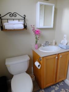 a bathroom with a toilet and a sink and a mirror at Bluewaters Retreat Bachelor Unit in Vernon Bridge