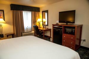 Habitación de hotel con cama y TV en Holiday Inn Express Tucson-Airport, an IHG Hotel en Tucson