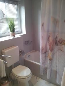 a bathroom with a toilet and a tub and a shower curtain at Strandgut - das appartement in Schönhagen
