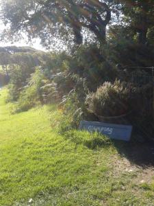 Cefn Crib Glamping外面的花园