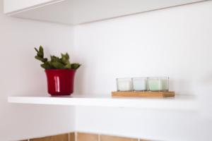 Fotografie z fotogalerie ubytování Apartments Stojanovic v Šibeniku