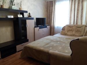 a bedroom with a bed and a tv and a window at Daily apartment Sumy in Sumy