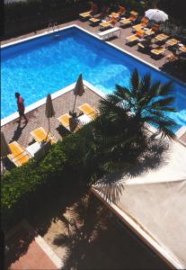 einen Blick über einen Pool mit Stühlen und einer Palme in der Unterkunft Hotel Rivadoro-Spiaggia ombrellone e lettini inclusi-Piscina-Parcheggio in Martinsicuro