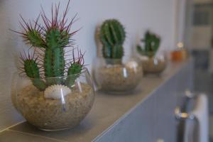 a row of potted plants sitting on a counter at Hotel Albatros Varigotti in Varigotti