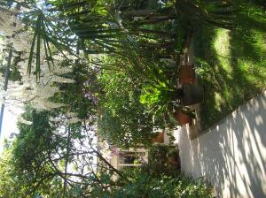 Zahrada ubytování b&b undici + 6 fotografií