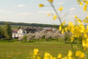 a field with trees and houses in the background at Flair Hotel Landgasthof Roger in Löwenstein