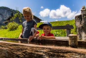 Foto dalla galleria di Ferienwohnungen Wartbichler a Lofer