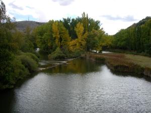 Príroda v okolí hotela