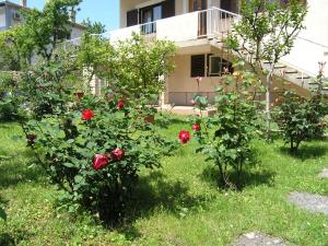 Vonkajšia záhrada v ubytovaní Apartments Ines