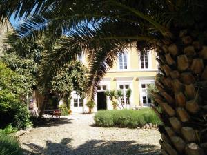 Zahrada ubytování La Maison des Palmiers