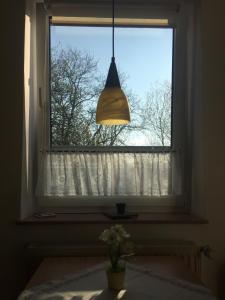 a window with a pendant light and a vase of flowers at Haus am Herrenwall in Esens
