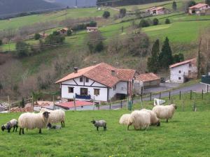 a herd of sheep grazing in a field with a house at Agroturismo Kasa Barri in Bermeo