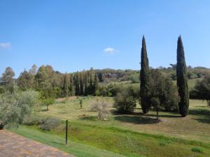 un parco con cipressi in un campo di Agriturismo Podere Sant' Antonio ad Alberese